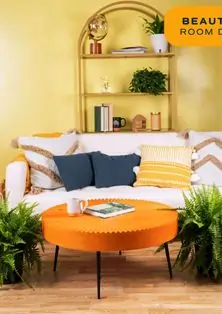 Boston Fern