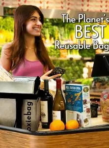 Collapsible Bags