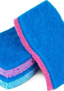 Compostable Sponges