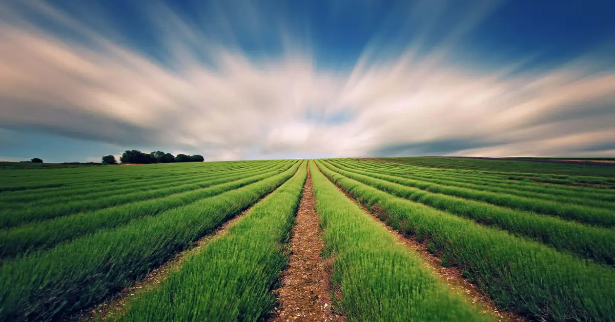 Regenerative Agriculture=