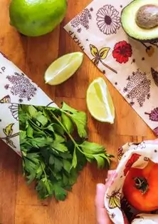 Vegan Food Wraps